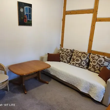 Brzozowy Gaj Homestay *